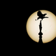 Illustration for article titled Behold The Transit of Venus In Photographs